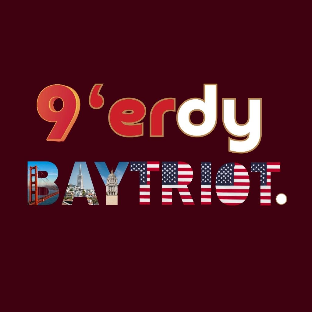 San Francisco 49'ers Nerdy Baytriot Premium Unisex T-shirt