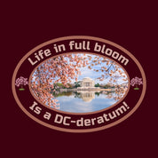 Washington DC "Desideratum" Premium Unisex T-shirt