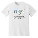 NYC Skybound Heavyweight Unisex T-Shirt